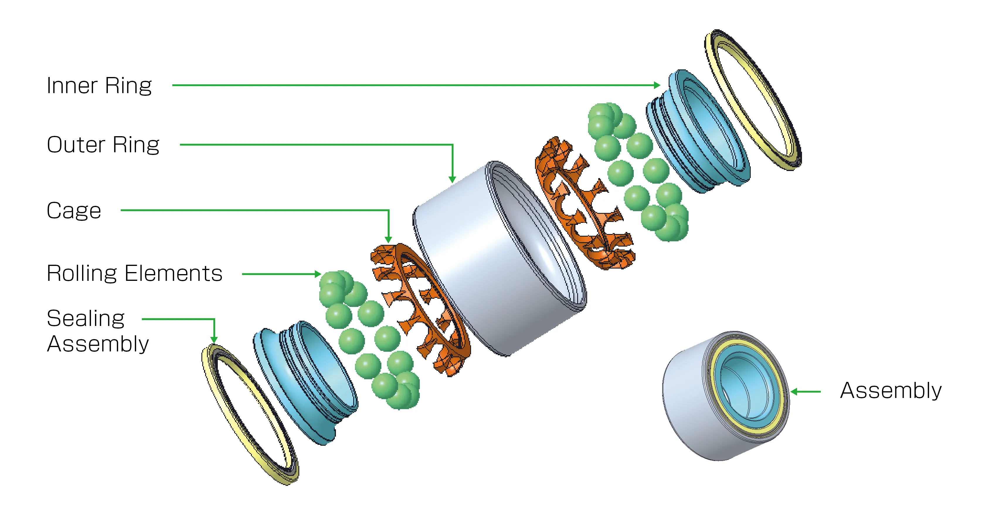 MASUMA Bearing Exploded View