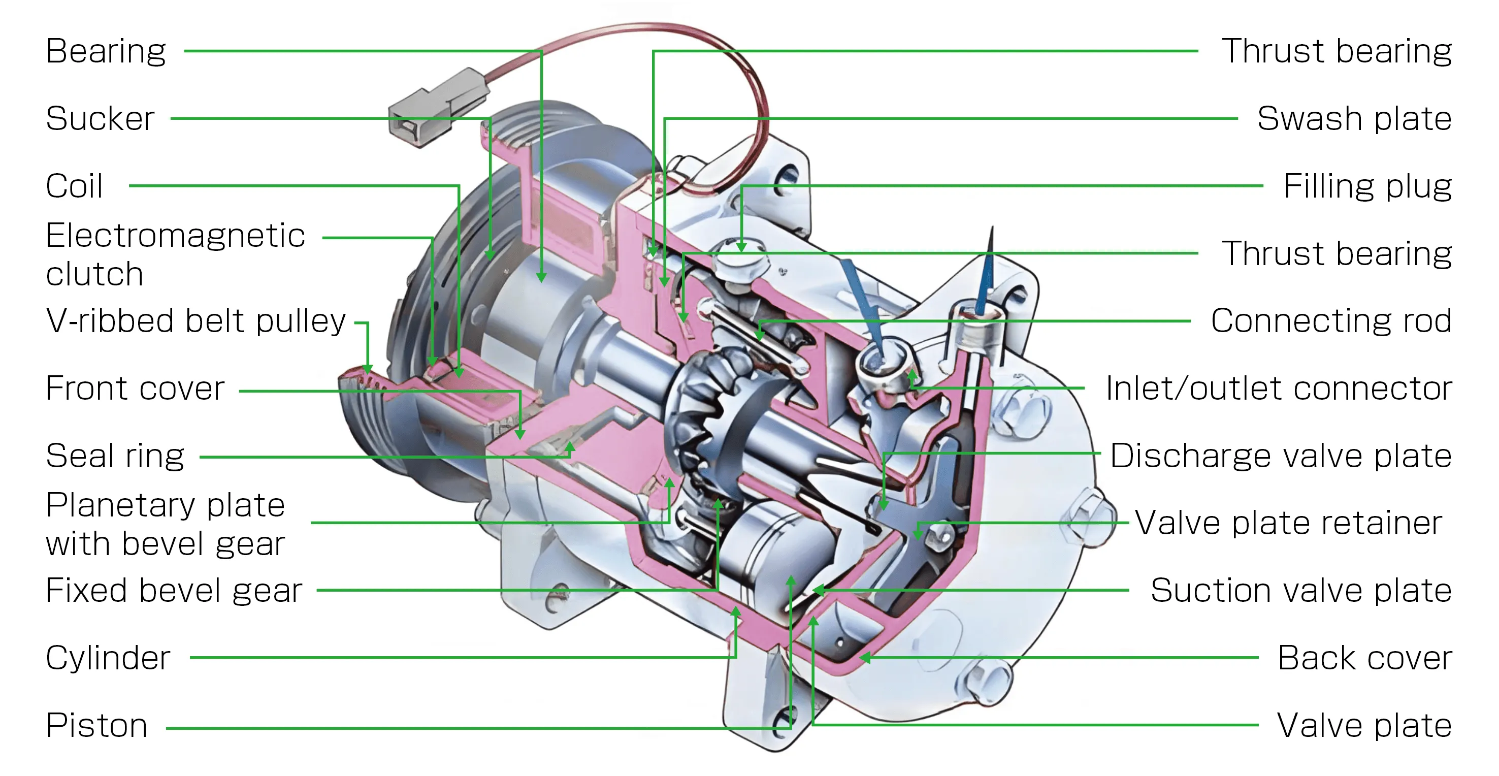 Automotive A/C Compressor Internal Structure and Components