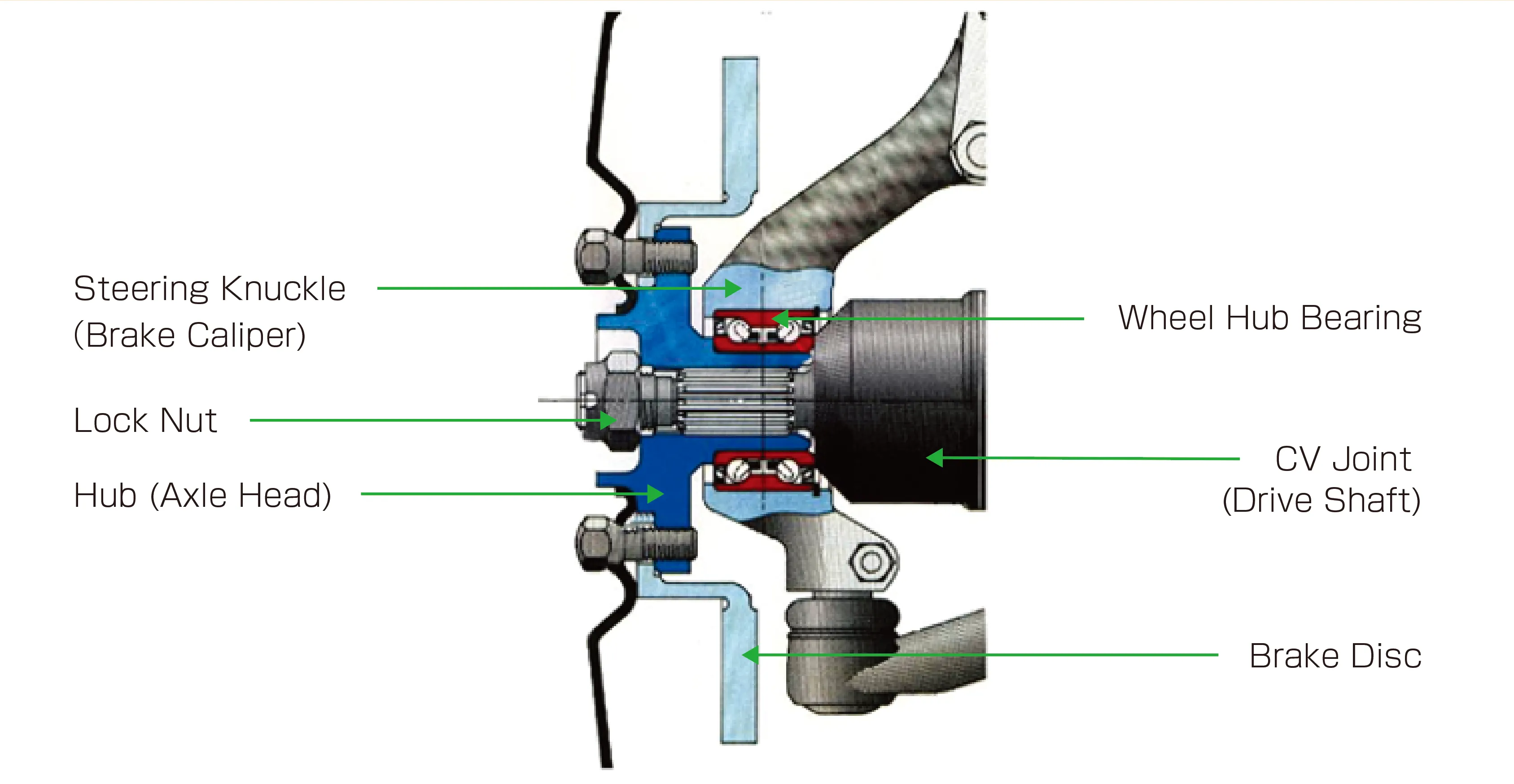 Wheel Hub Bearing Assembly Cross-section