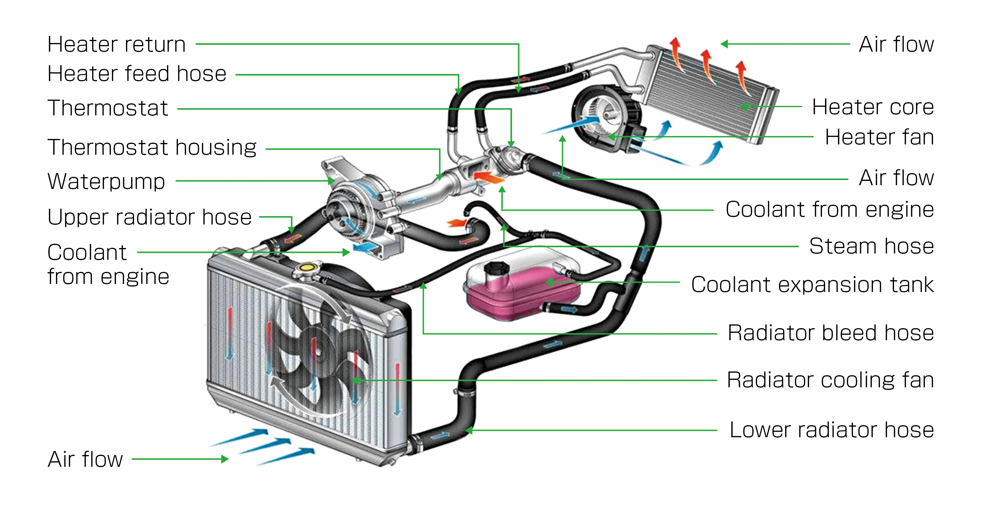 Engine Cooling System Components and Structure Diagram