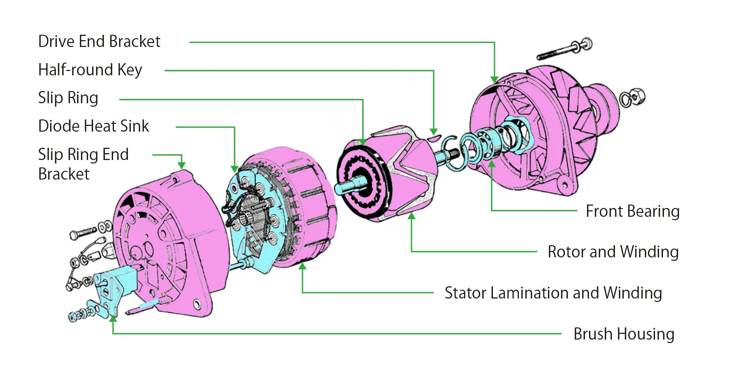 Exploded view of automotive AC alternator components and internal structure
