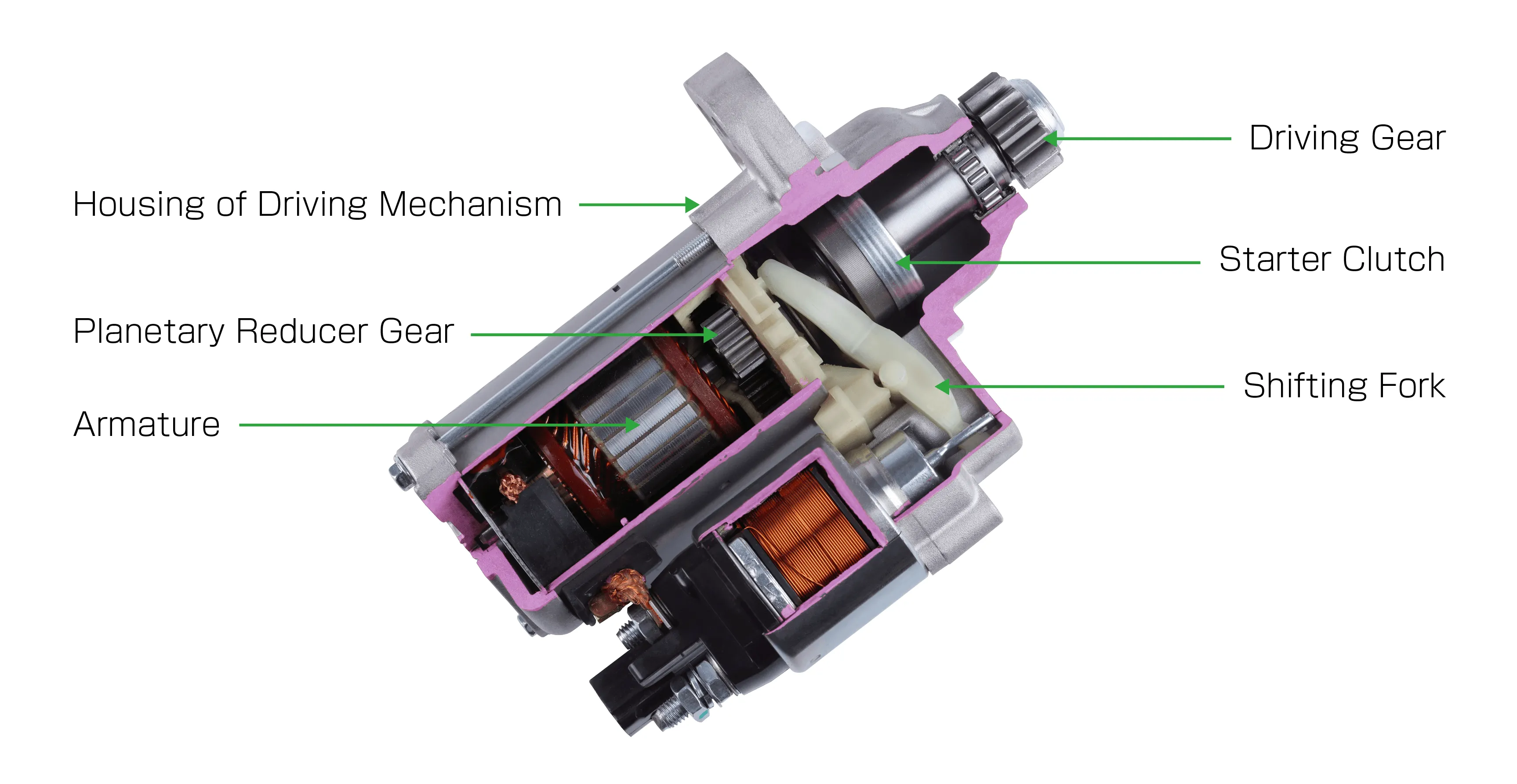 Starter Motor Internal Structure Cutaway