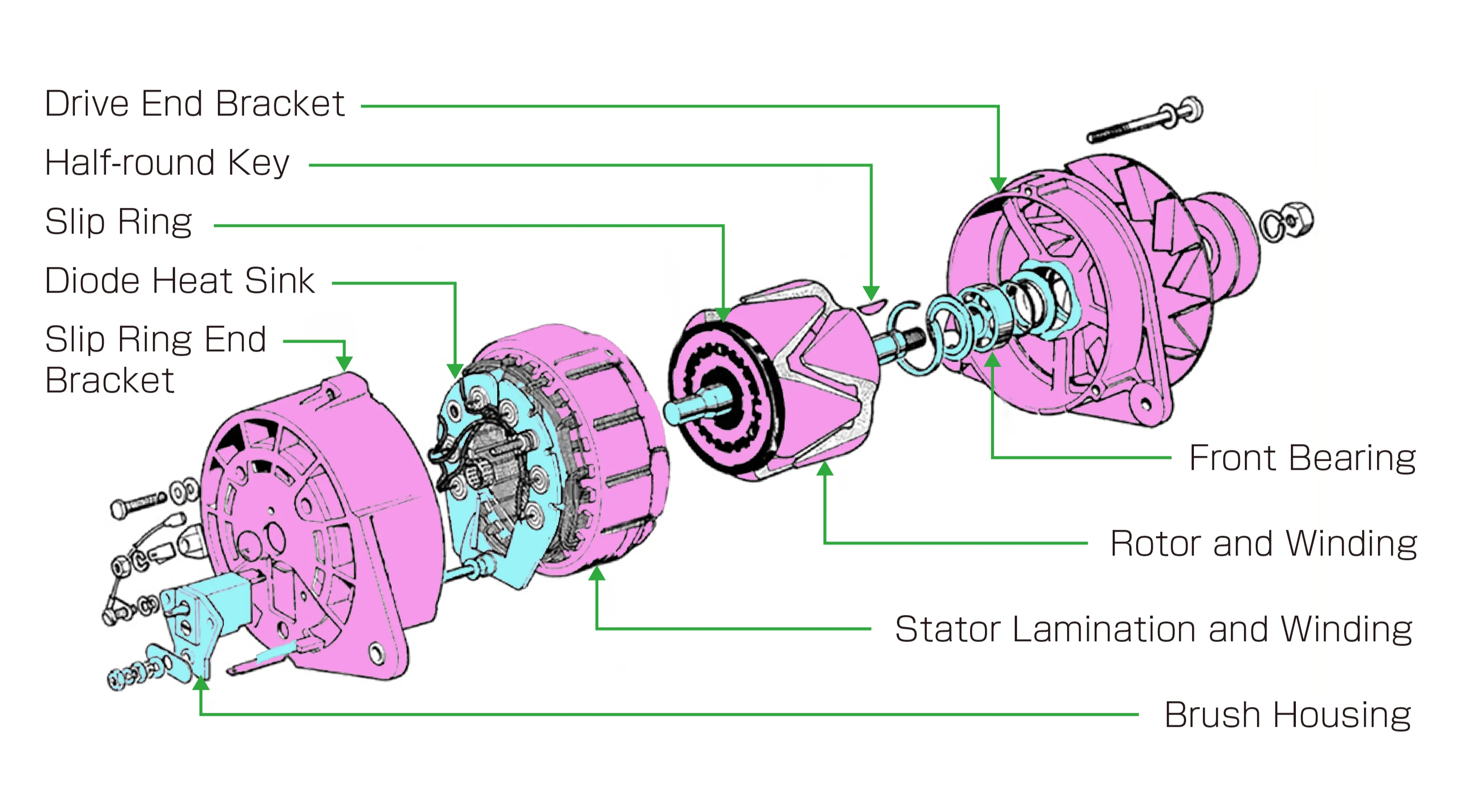 Exploded view of automotive AC alternator components and internal structure