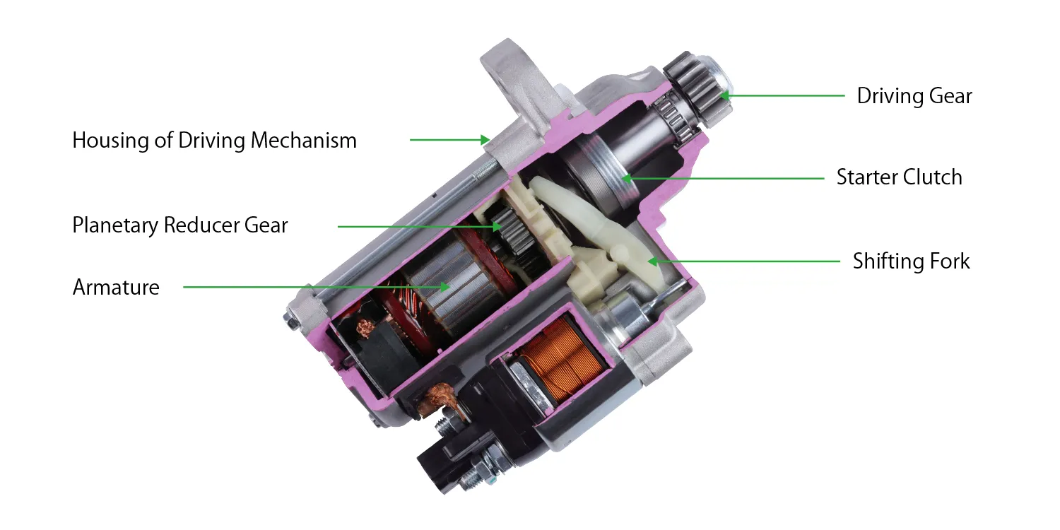 Starter Motor Internal Structure Cutaway